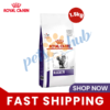 Royal Canin Dental Care Dry Cat Food - 1.5KG