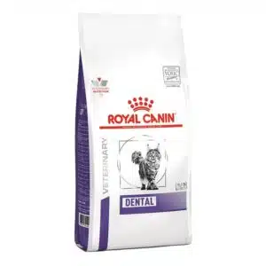 Royal Canin Dental Care Dry Cat Food