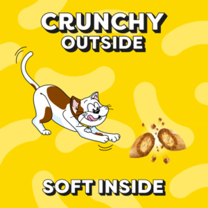 Dreamies Cat Treats With Chicken