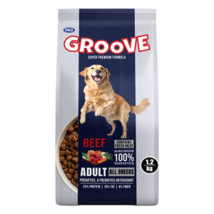 Groove Dog Food – Beef Flavor