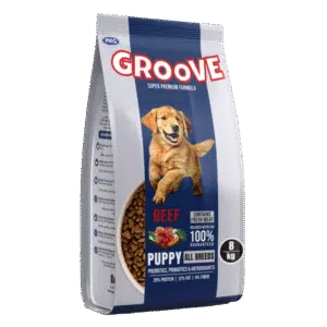 Groove Puppy Food – Beef Flavor