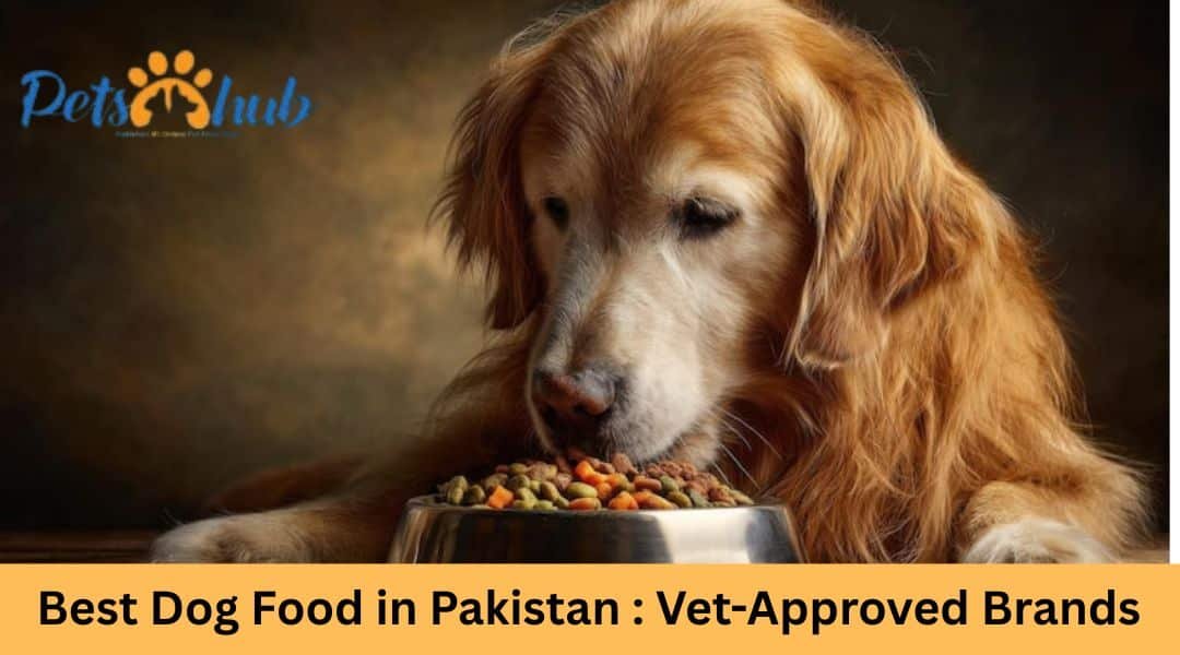 Best Dog Food in Pakistan (2026): Vet-Approved Brands
