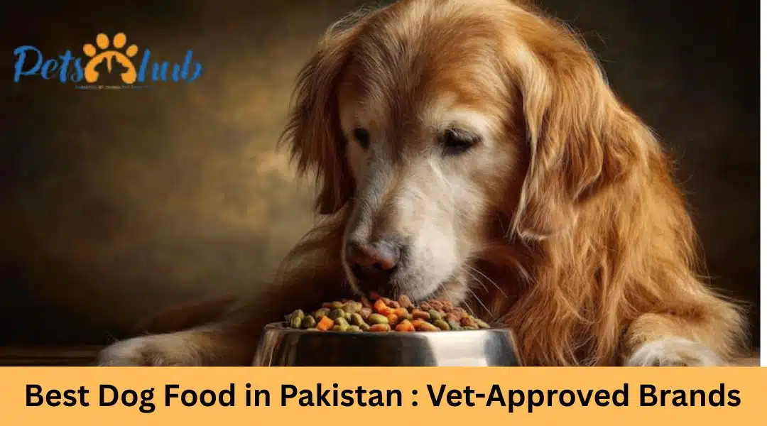 Best Dog Food in Pakistan (2026): Vet-Approved Brands