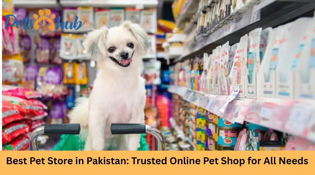 Best Pet Store in Pakistan