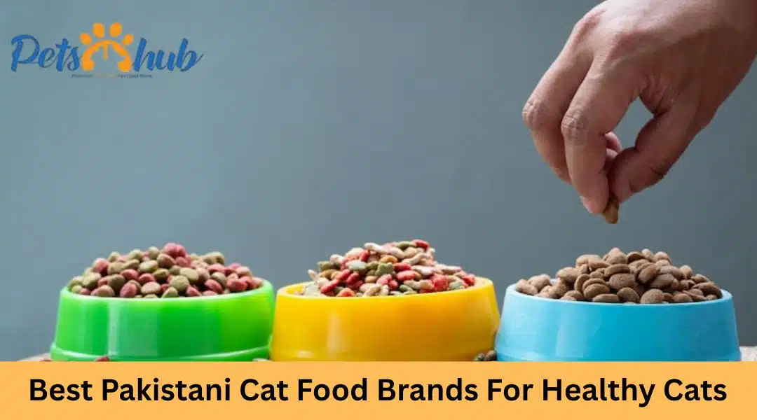 Best Pakistani Cat Food Brands for Healthy Cats in 2026