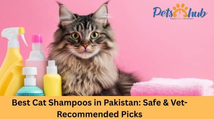 Best Cat Shampoos in Pakistan: Safe & Vet-Recommended Picks 2026 
