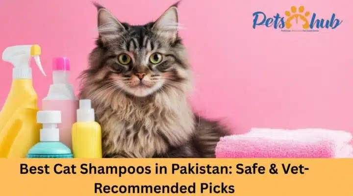 Best Cat Shampoos in Pakistan: Safe & Vet-Recommended Picks 2026 