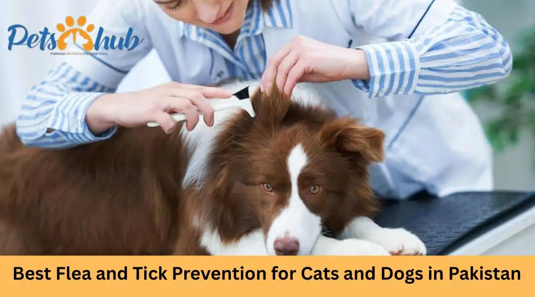best flea and tick prevention for dogs