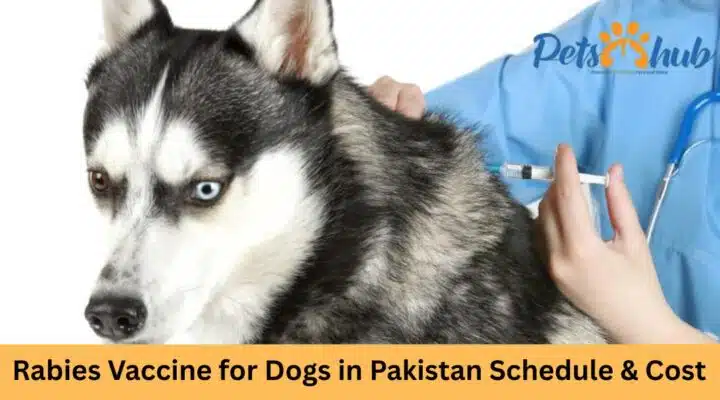 Rabies Vaccine brands in pakistan