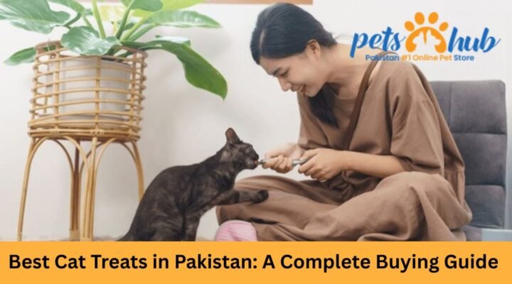 Best Cat Treats in Pakistan: Top Brands, Prices & Picky-Eater Favorites 