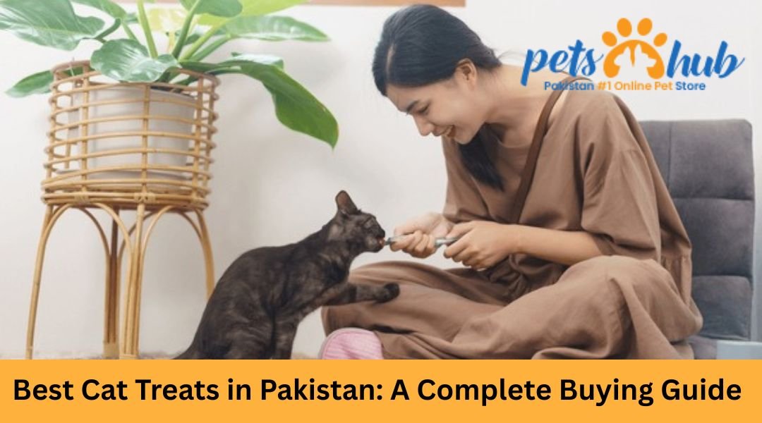 Best Cat Treats in Pakistan: Top Brands, Prices & Picky-Eater Favorites 