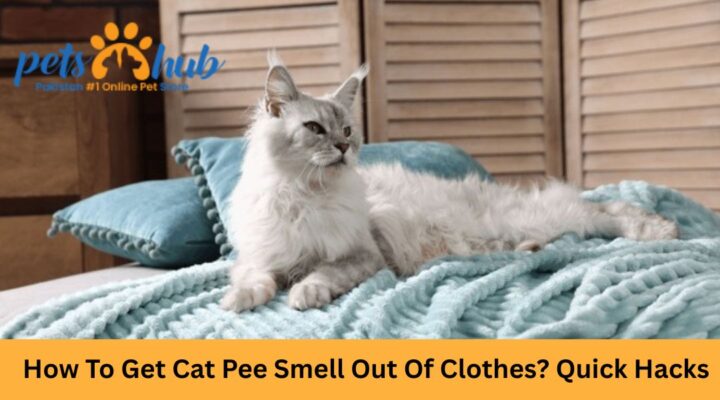 How To Get Cat Pee Smell Out Of Clothes? Quick Hacks