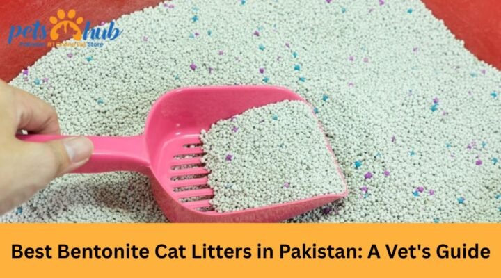Best Bentonite Cat Litter in Pakistan: A Vet's Guide