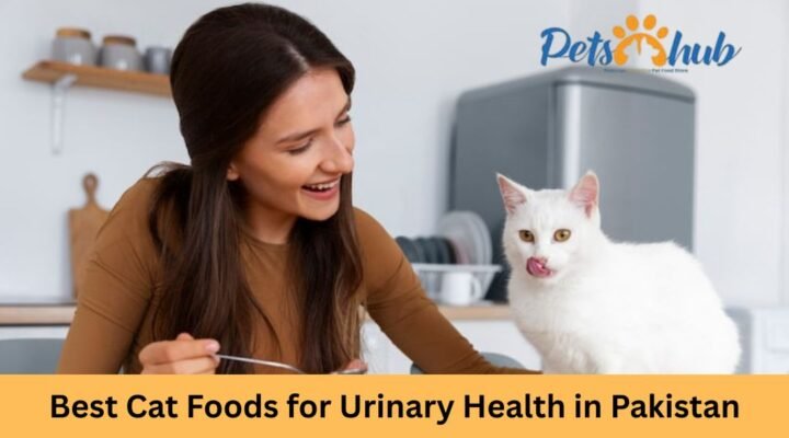 Best Cat Foods for Urinary Health in Pakista
