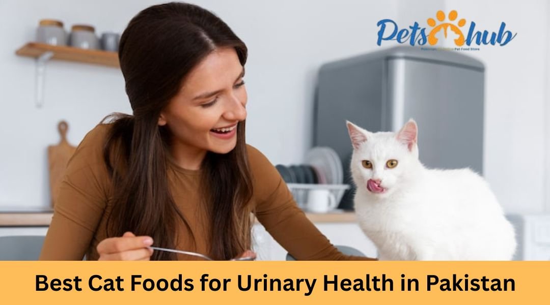 Best Cat Foods for Urinary Health in Pakista