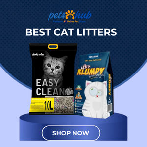 Cat Litters