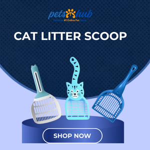 Cat Scoop Accessories