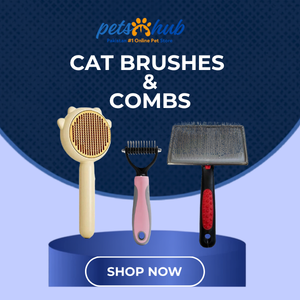 Cat Combs & Brushes