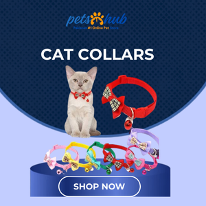 Cat Collars