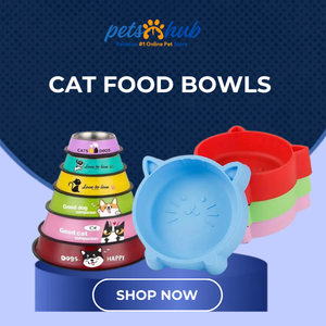 Cat Food Bowls