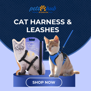 Cat Harness and Leashes