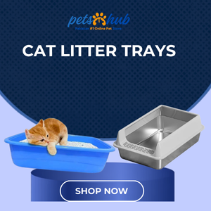 Cat Litter Trays & Box