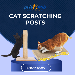 Cat Scratching Posts