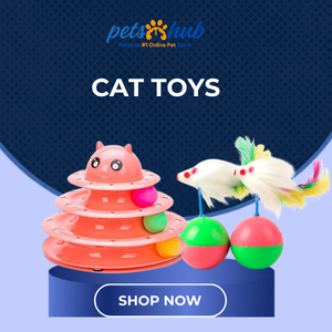 Cat Toys