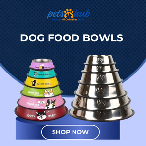 Dog Feeding Bowls