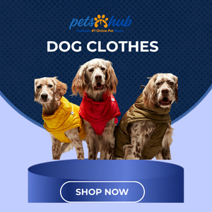 Dog Clothes