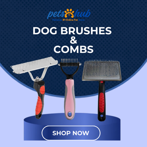Dog Combs & Brushes