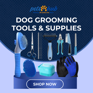 Dog Grooming Tools