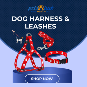 Dog Harness and Leashes