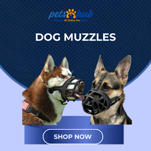 Dog Muzzles