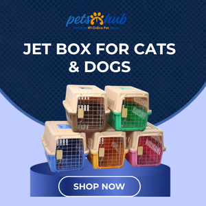 Jet Box for Cats & Dogs